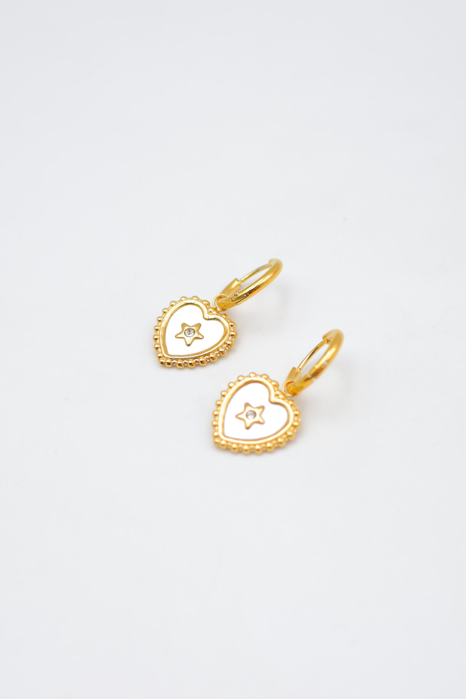 Boucles d'oreilles en acier inoxydable - E26B