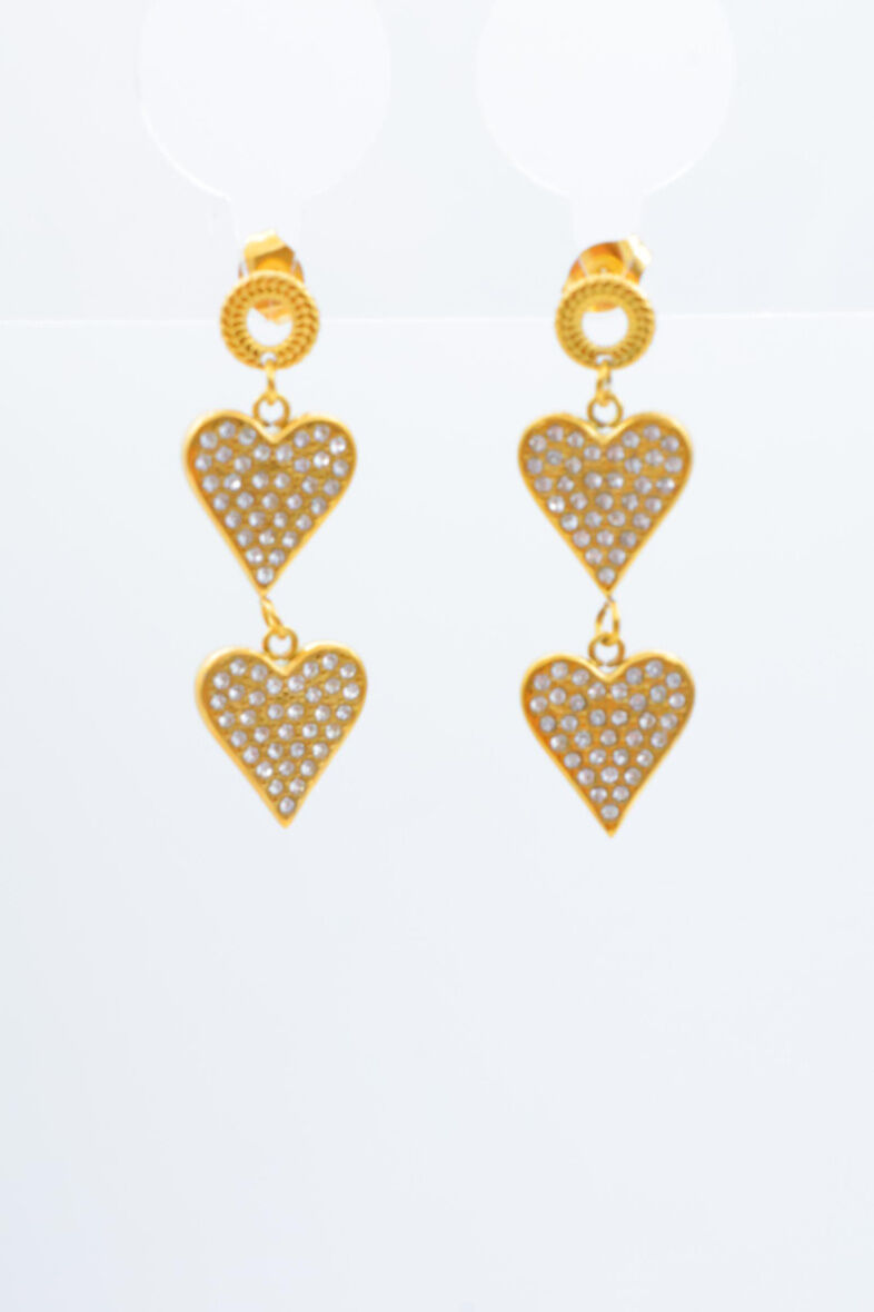 Boucles d'oreilles en acier inoxydable - E50