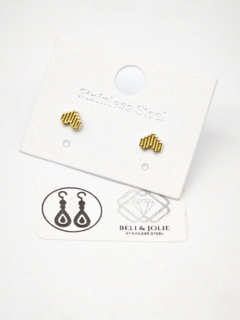 Boucles d'oreilles en acier inoxydable - E55