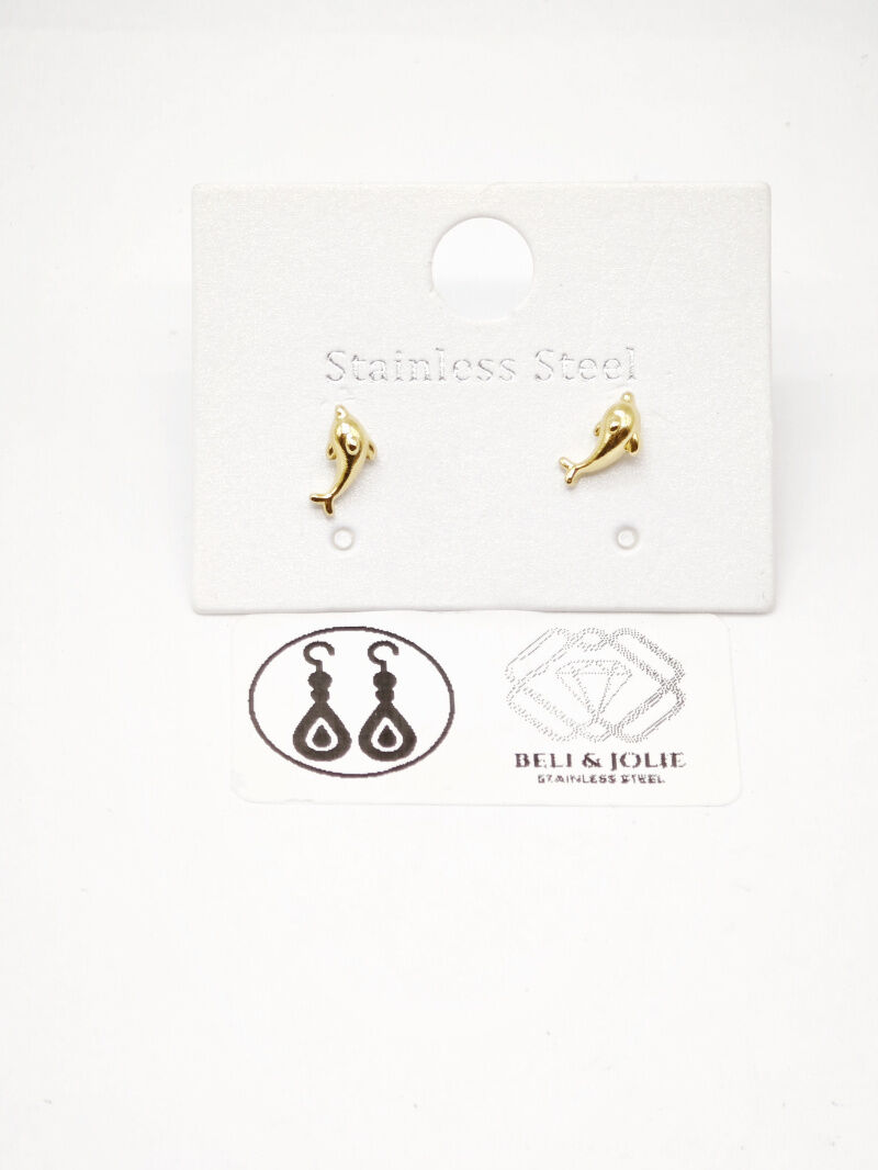 Boucles d'oreilles en acier inoxydable - E60