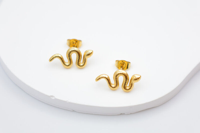 Orecchini in acciaio inossidabile - E62