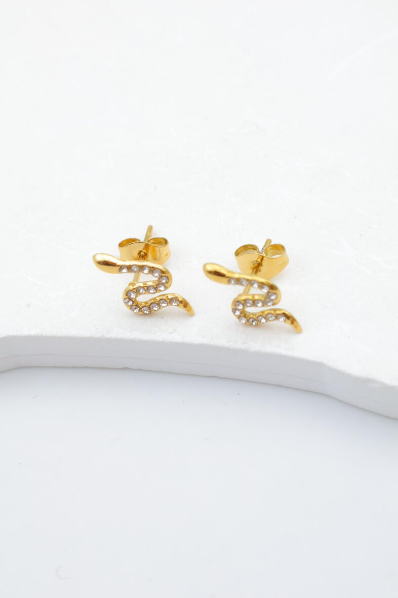 Pendientes de acero inoxidable - E285