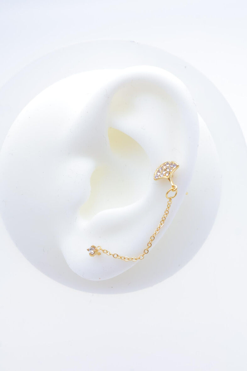 Ohrklemmen aus Edelstahl - E294