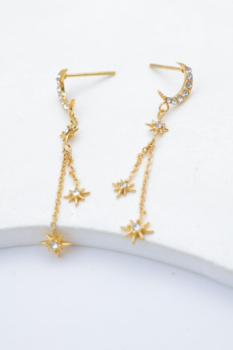 Edelstahl Ohrringe - E309