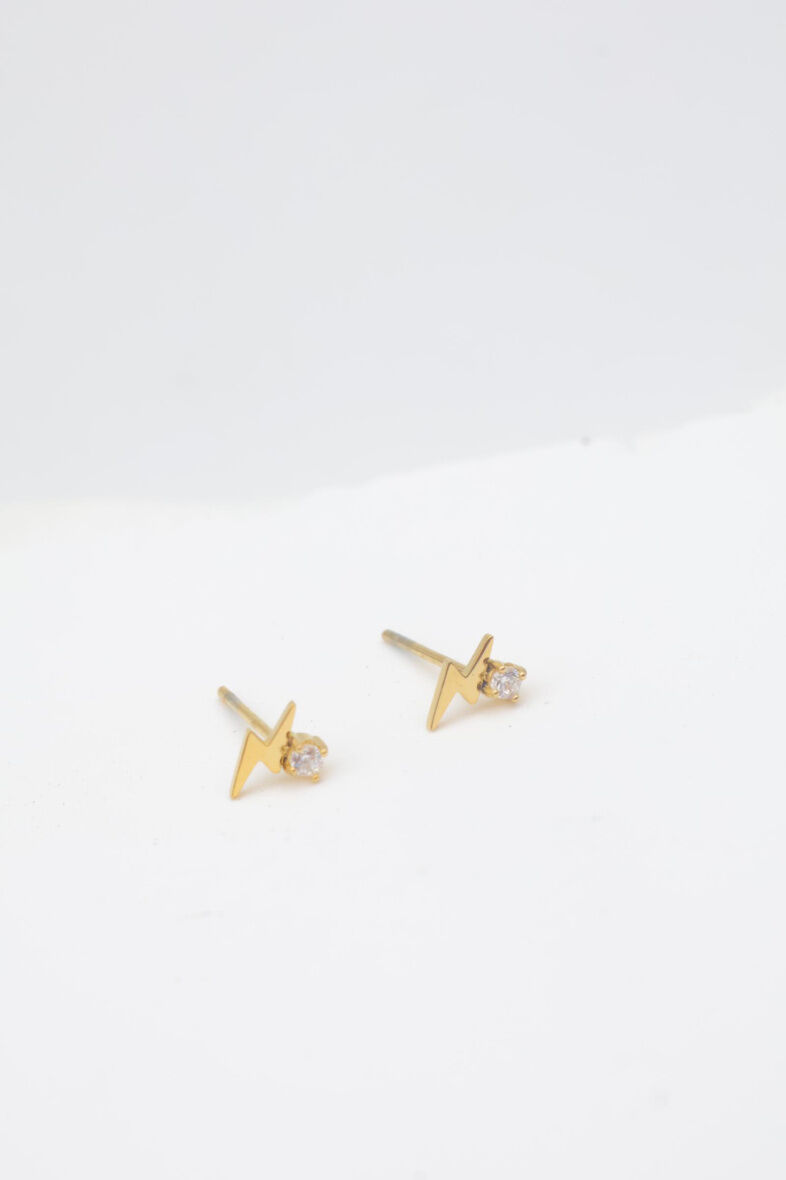 Edelstahl Ohrringe - E314