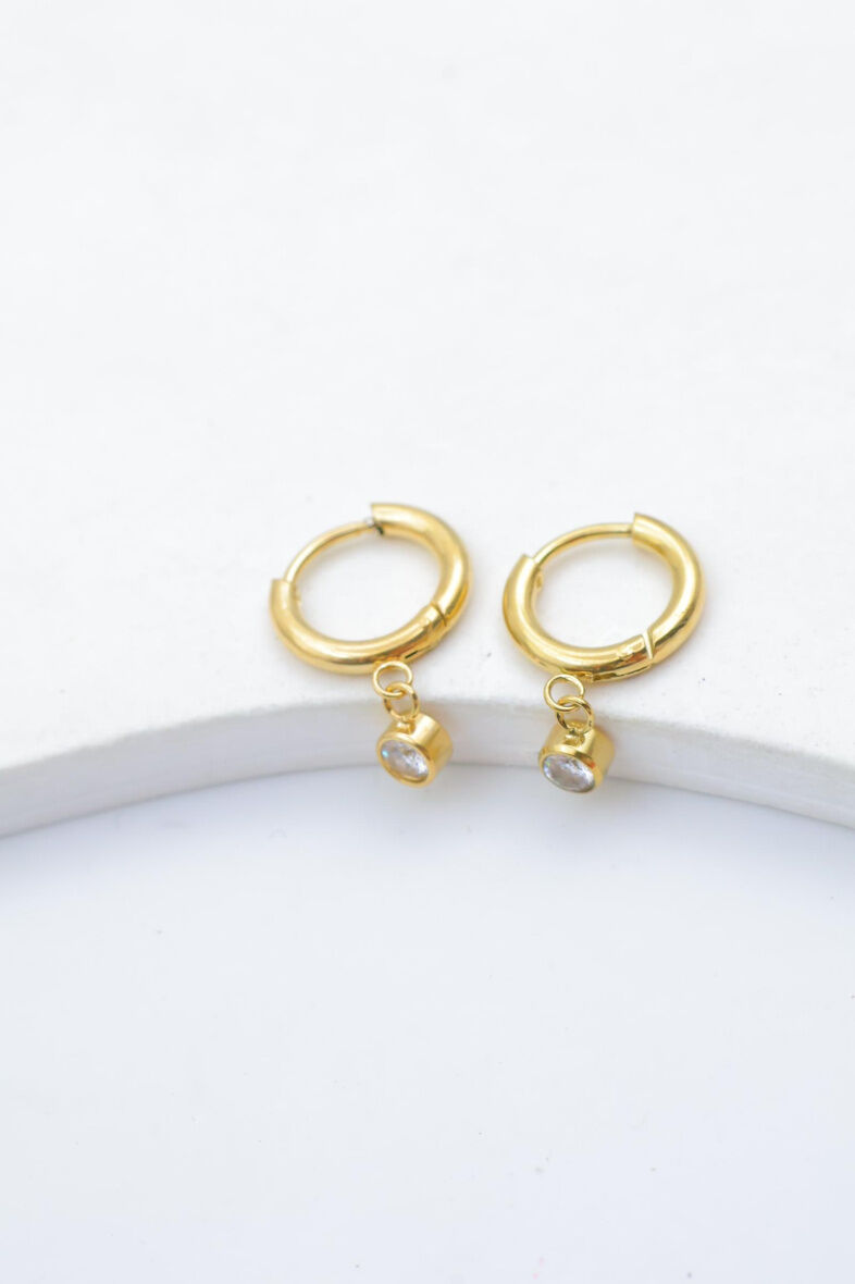 Edelstahl Ohrringe - E324