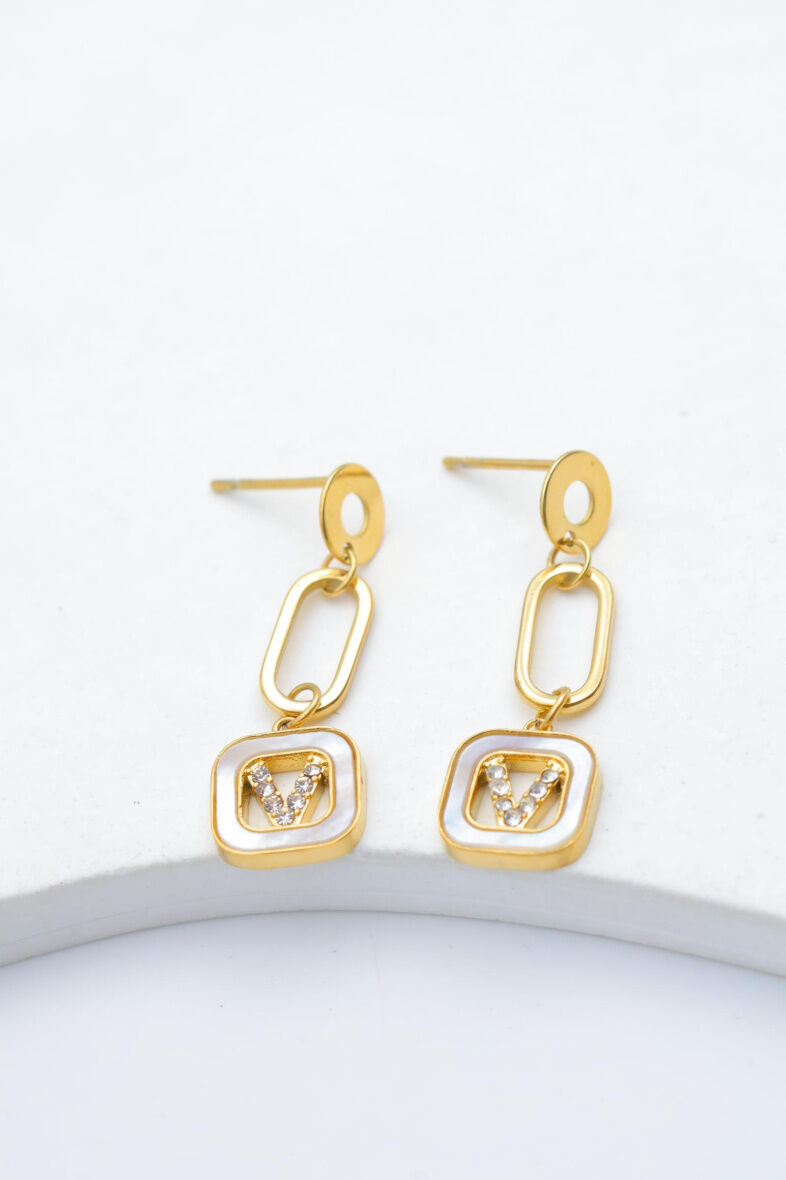 Edelstahl Ohrringe - E342B