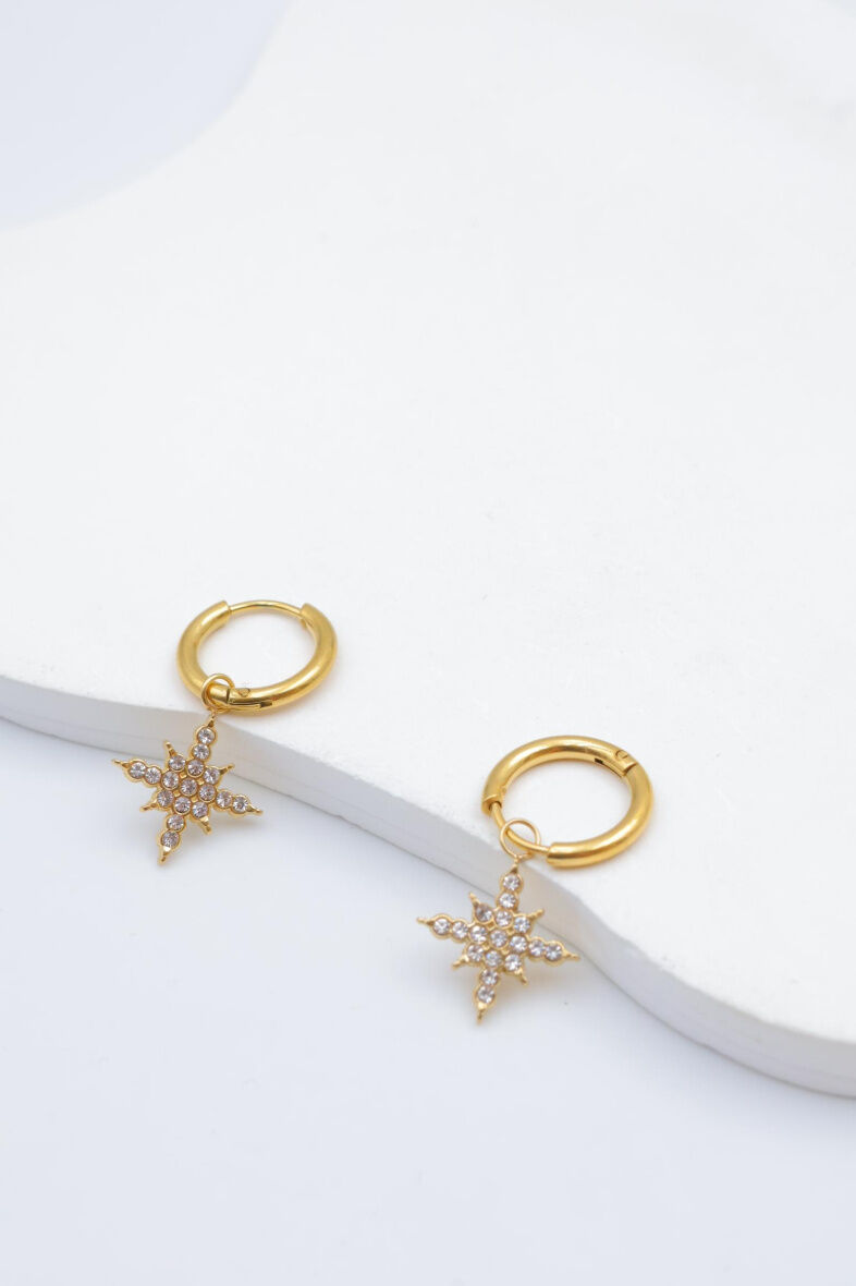 Pendientes de acero inoxidable - E349B