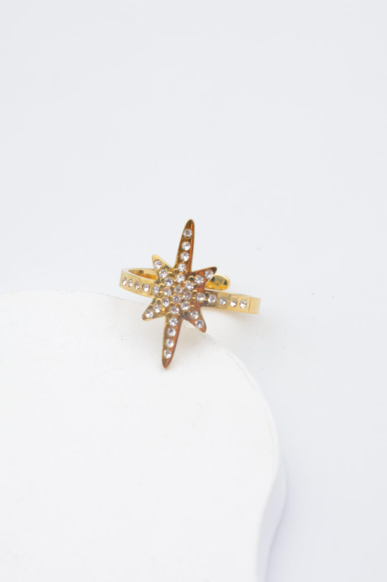 Verstellbarer Edelstahlring - E443