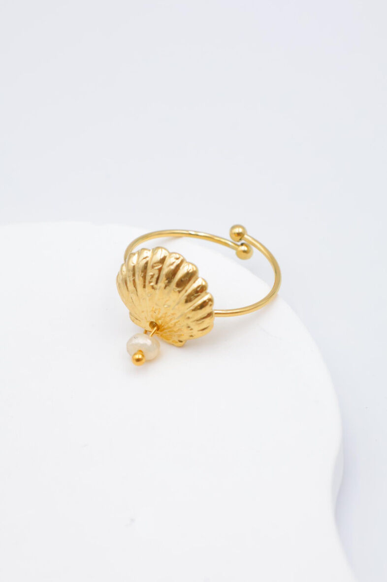 Anillo ajustable de acero inoxidable - E447