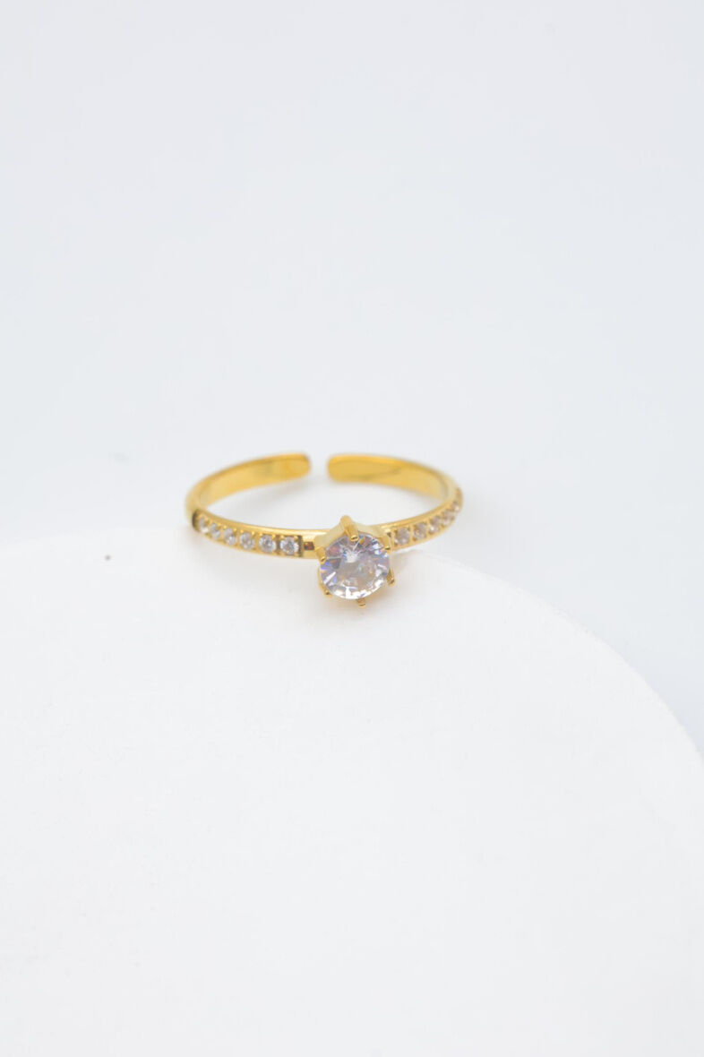 Verstellbarer Edelstahlring - E468