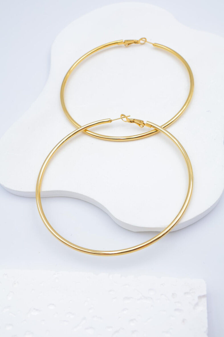 Pendientes de aro de acero inoxidable - E484