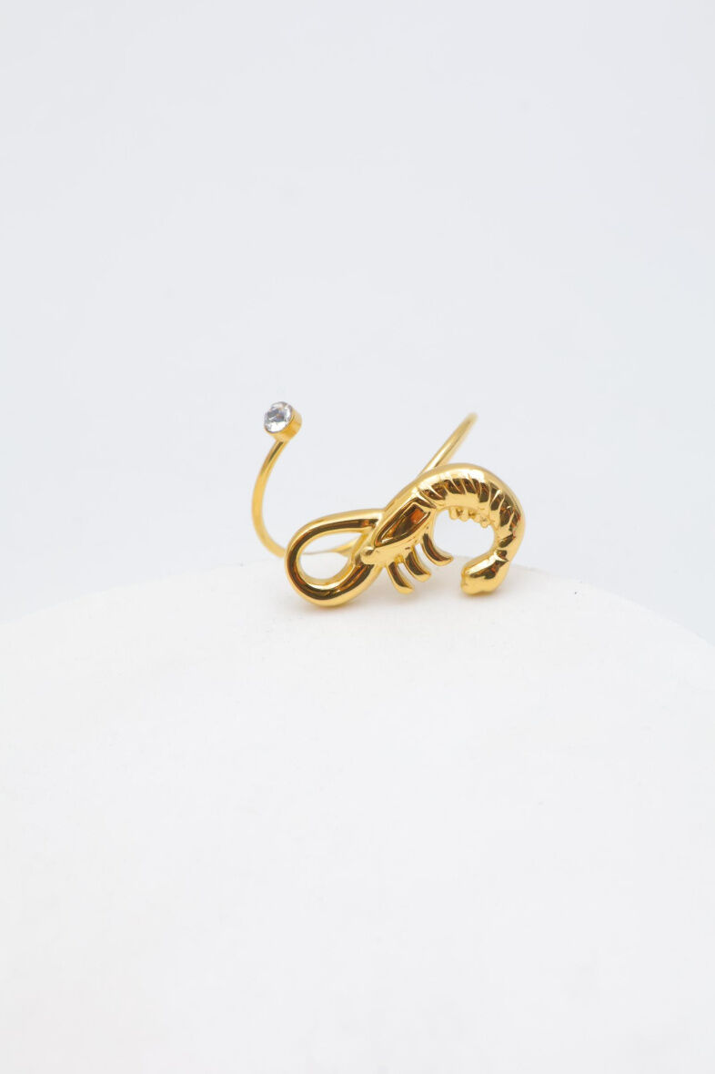 Verstellbarer Edelstahlring - E507