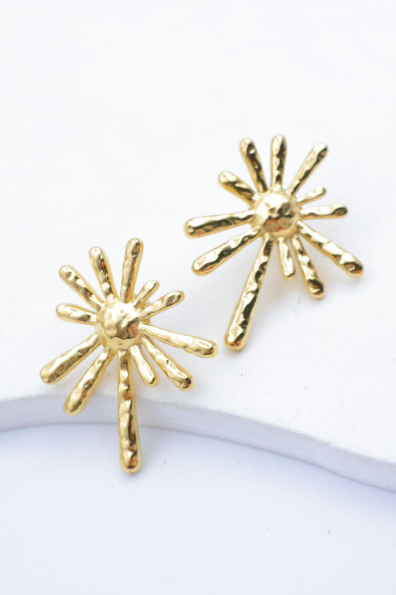 Edelstahl Ohrringe - E514