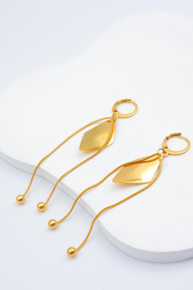 Boucles d'oreilles en acier inoxydable - F15