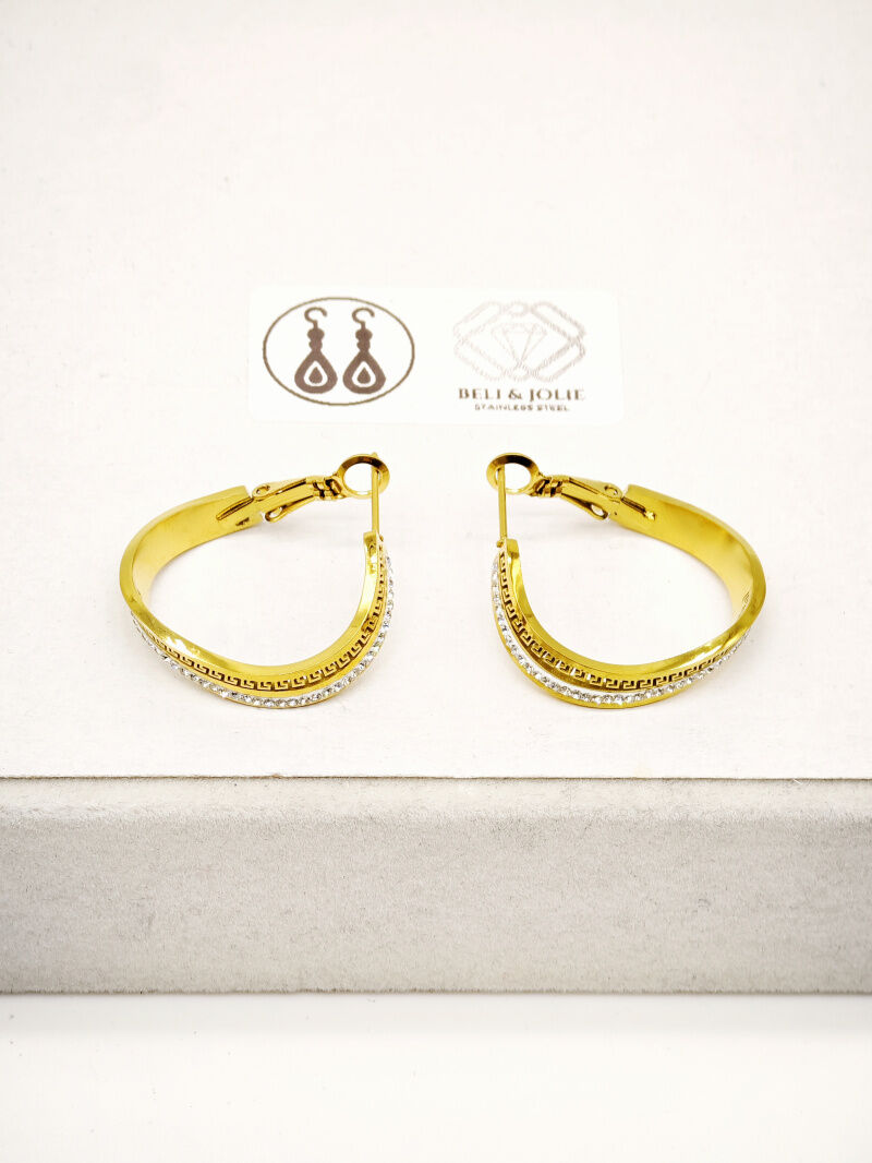 Creolen aus Edelstahl - F53