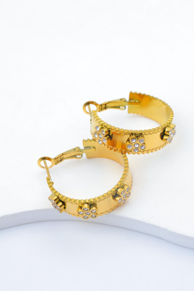 Creolen aus Edelstahl - F76