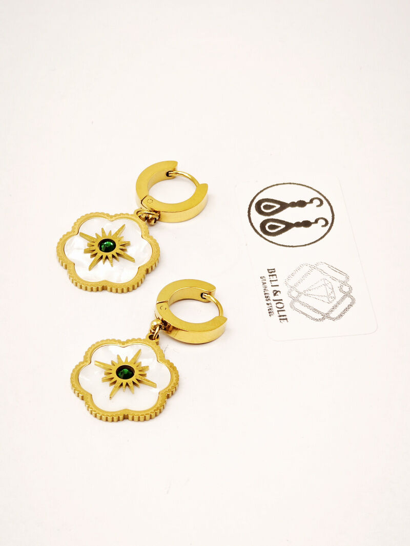 Edelstahl Ohrringe - F79