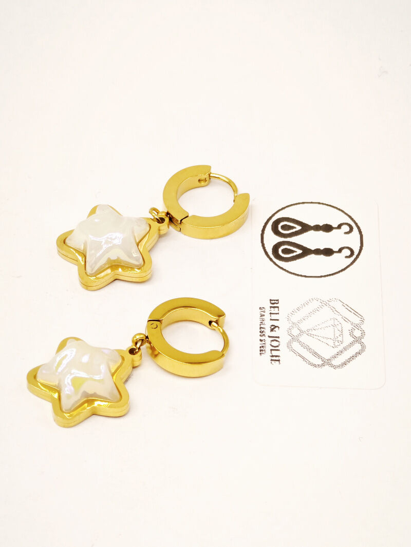 Boucles d'oreilles en acier inoxydable - F175B