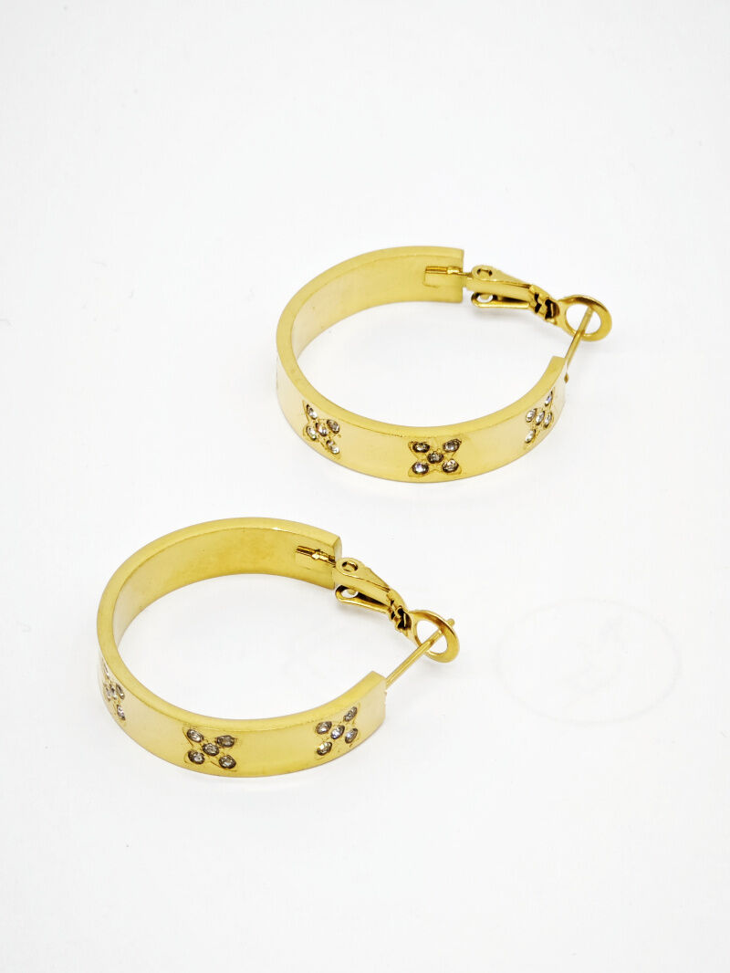 Creolen aus Edelstahl - F205