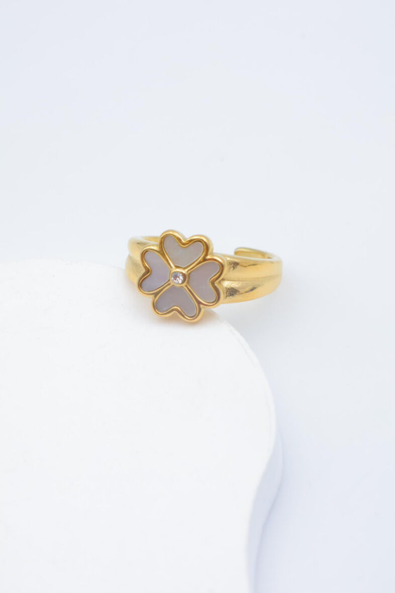 Verstellbarer Edelstahlring - F239