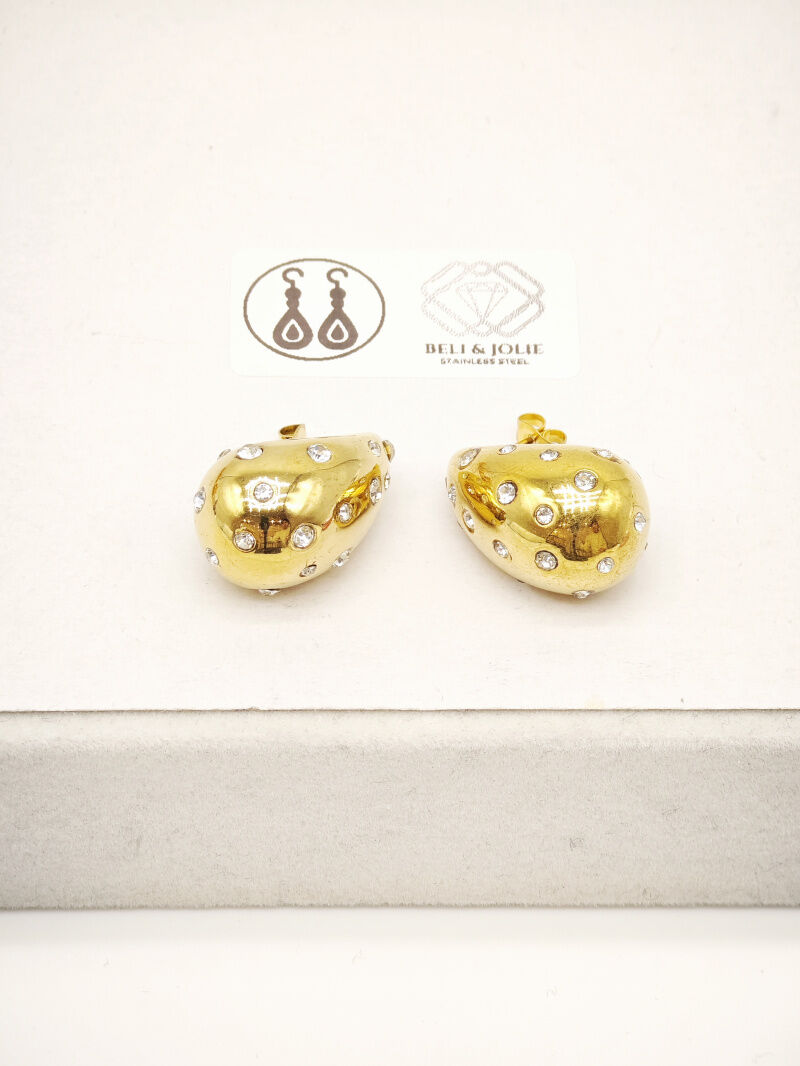 Boucles d'oreilles en acier inoxydable - G51