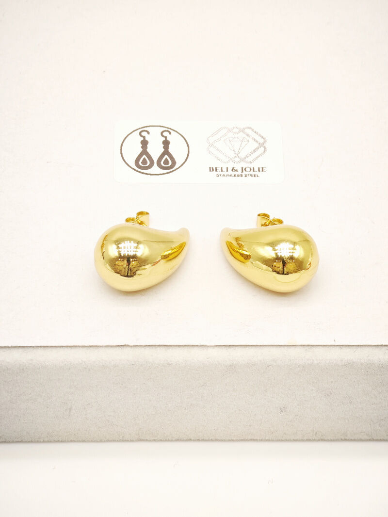 Boucles d'oreilles en acier inoxydable - G67