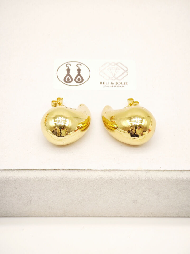 Boucles d'oreilles en acier inoxydable - G68