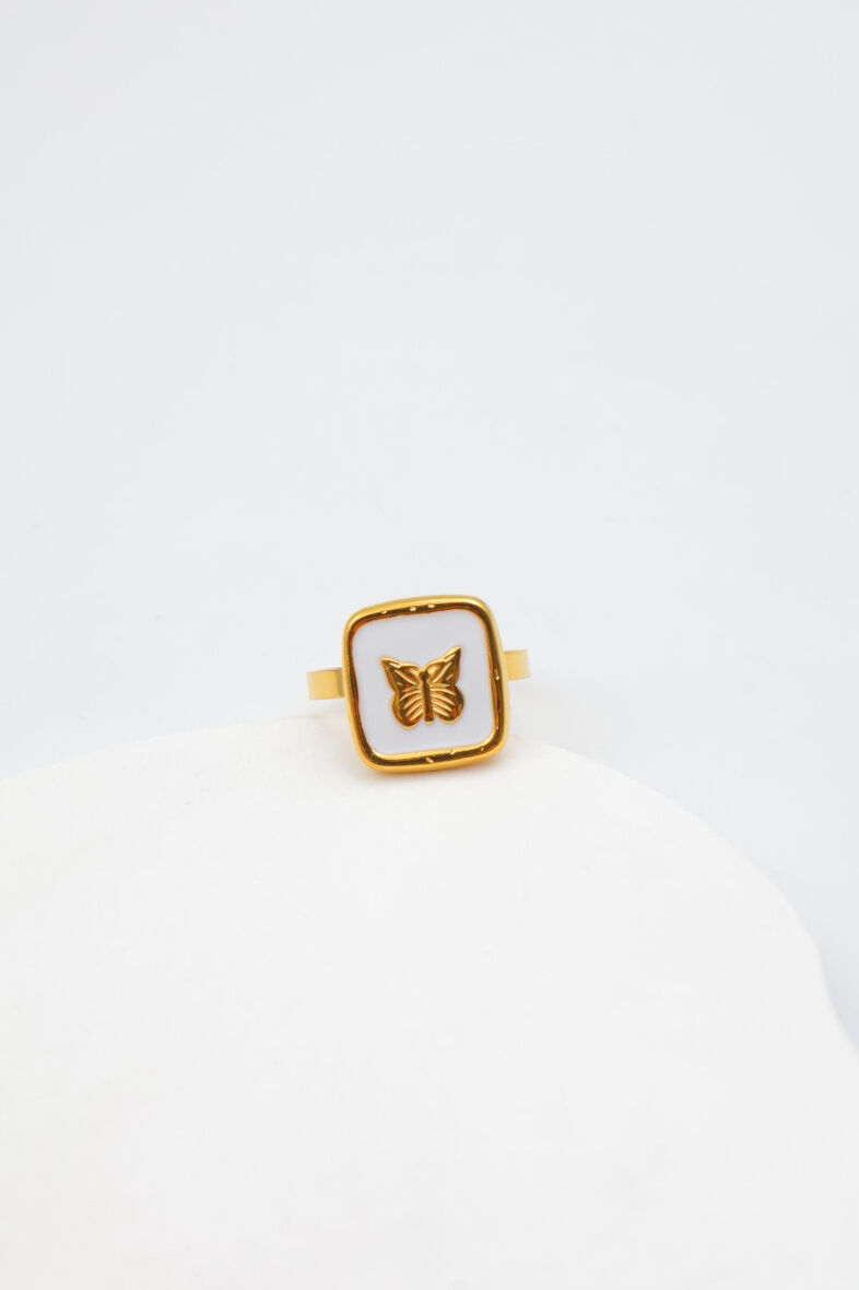 Anello regolabile in acciaio inossidabile - T100C