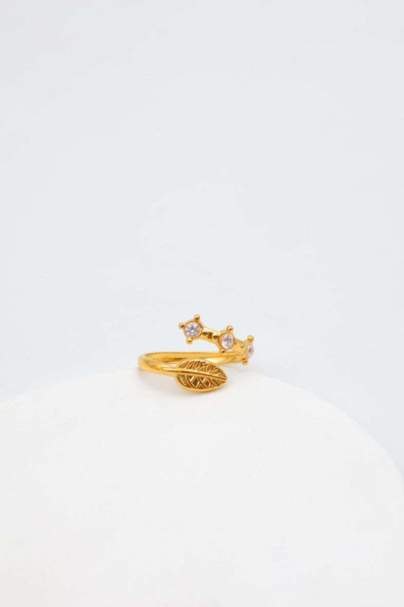 Verstellbarer Edelstahlring - T102