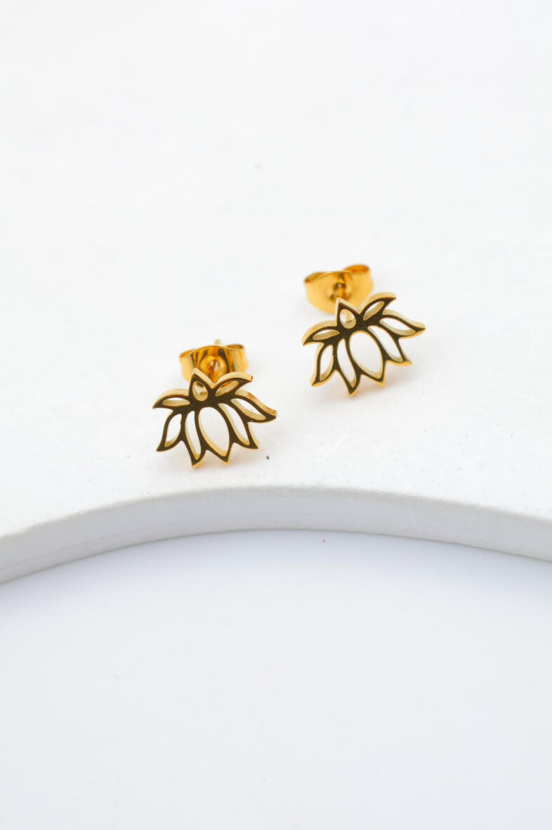 Edelstahl Ohrringe - T104B