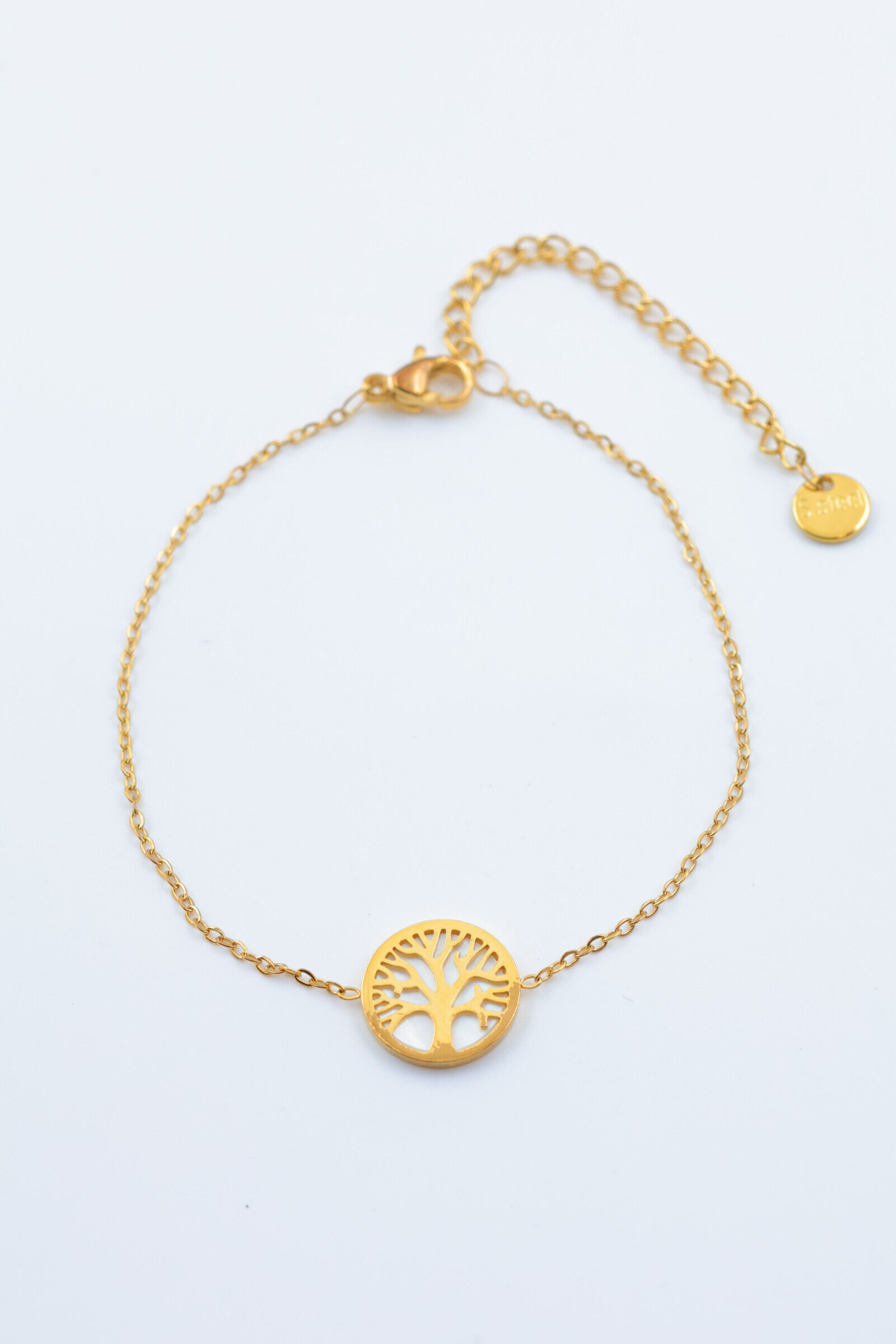 Bracciale in acciaio inossidabile - T169A