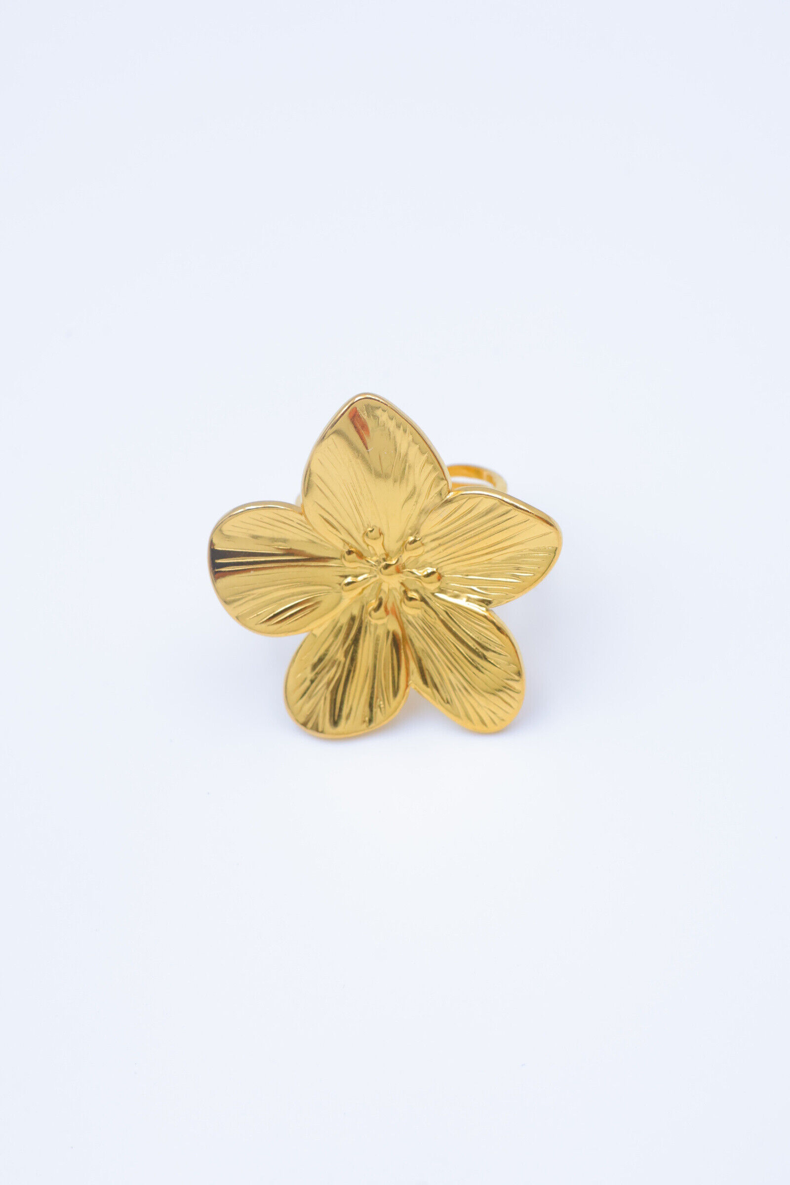 Anello regolabile in acciaio inox - V400(2)