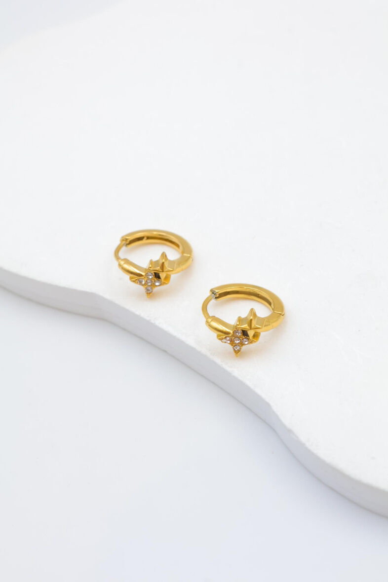 Edelstahl Ohrringe - W79