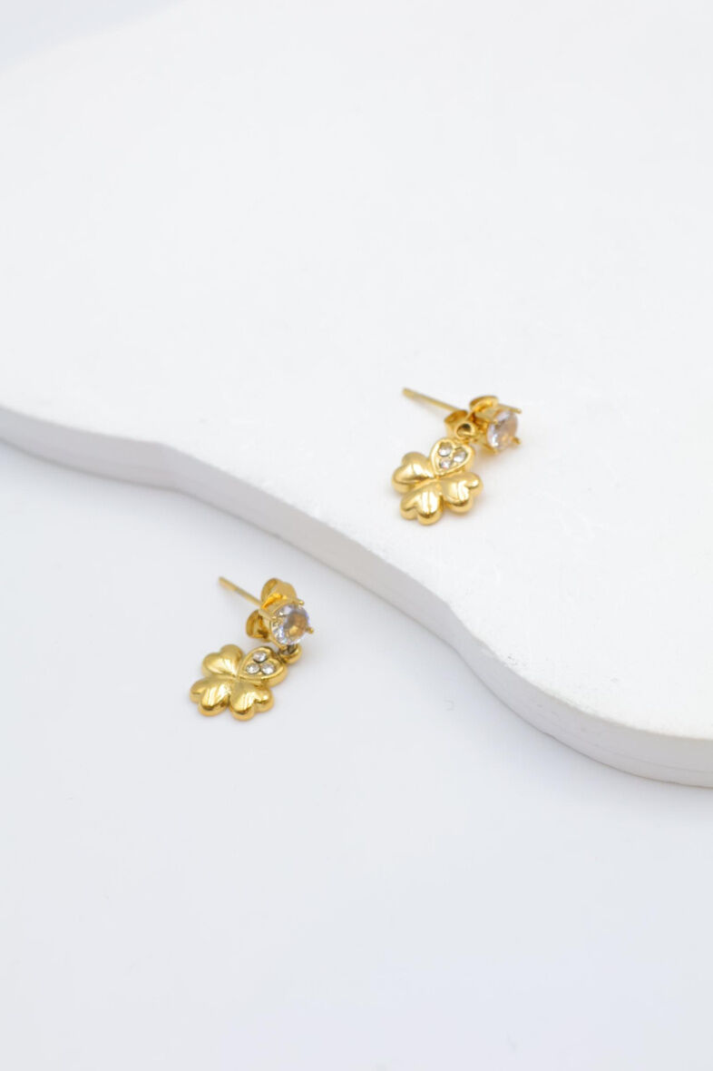 Edelstahl Ohrringe - Y120