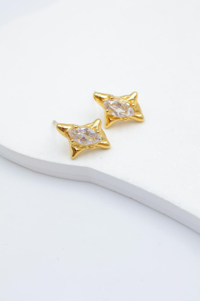 Edelstahl Ohrringe - Y123B