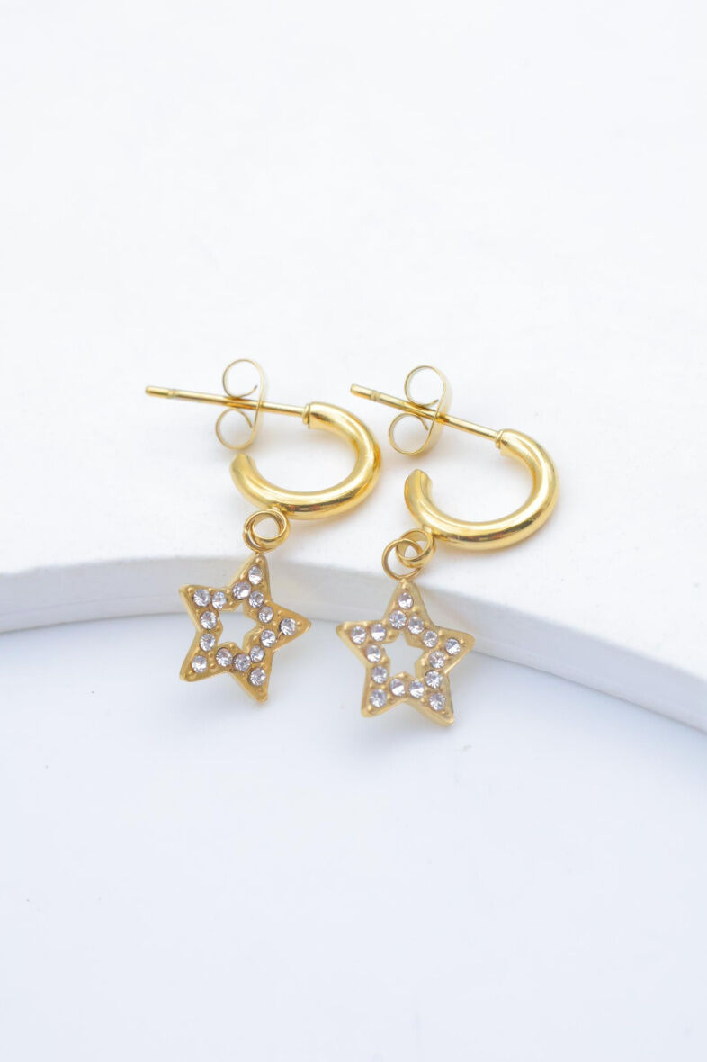 Edelstahl Ohrringe - Y150