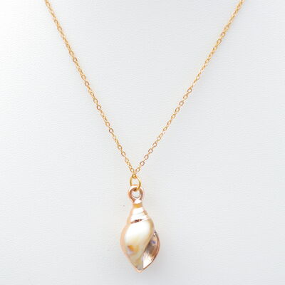 Collar de acero inoxidable - BL235