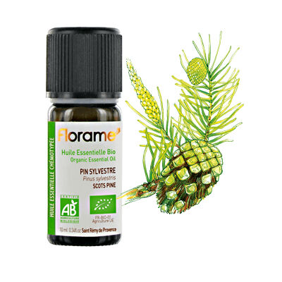 Olio essenziale di pino silvestre biologico