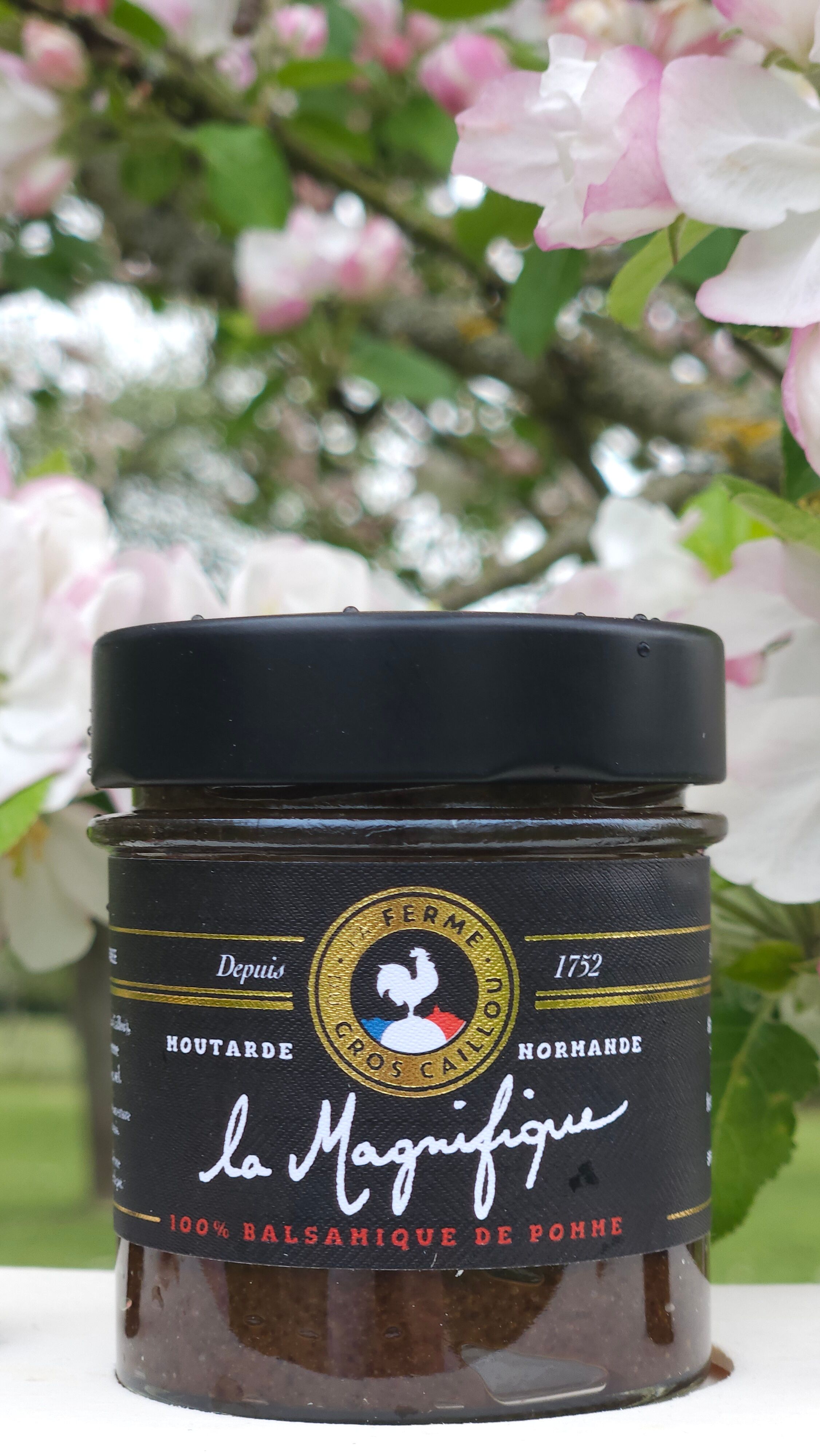 Senape - La Magnifica - Con aceto balsamico di mele - 130 g