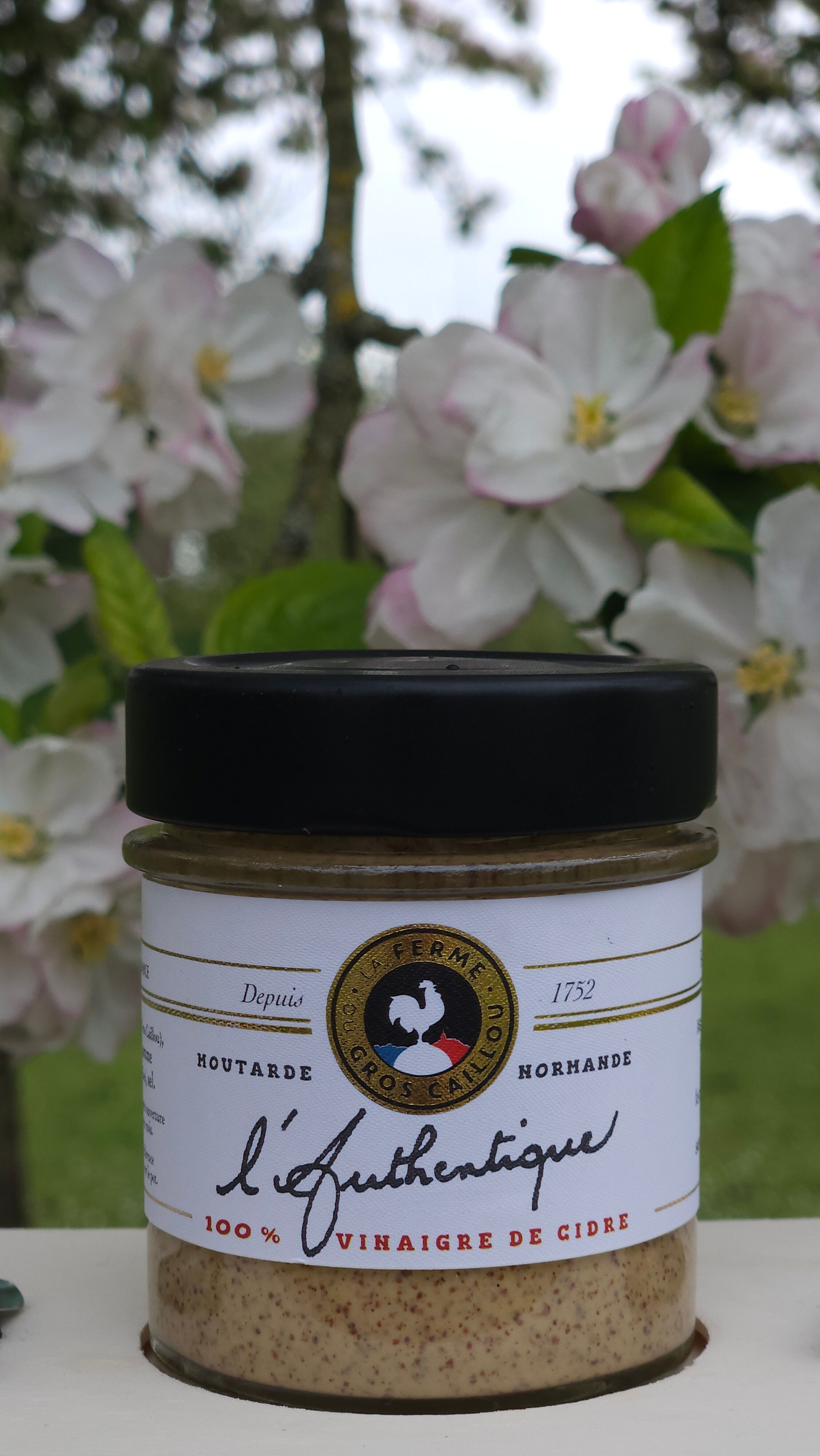 Moutarde - L'authentique - Au vinaigre de cidre - 130 g