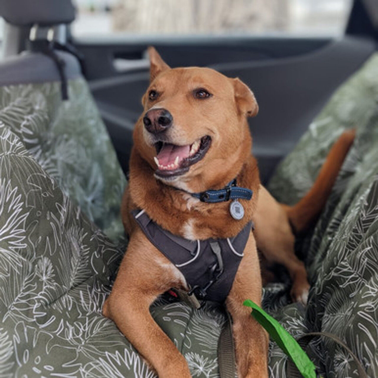 Panama Car Seat Cover – Hammock style – Fits vehicles with headrests – Protection with Style