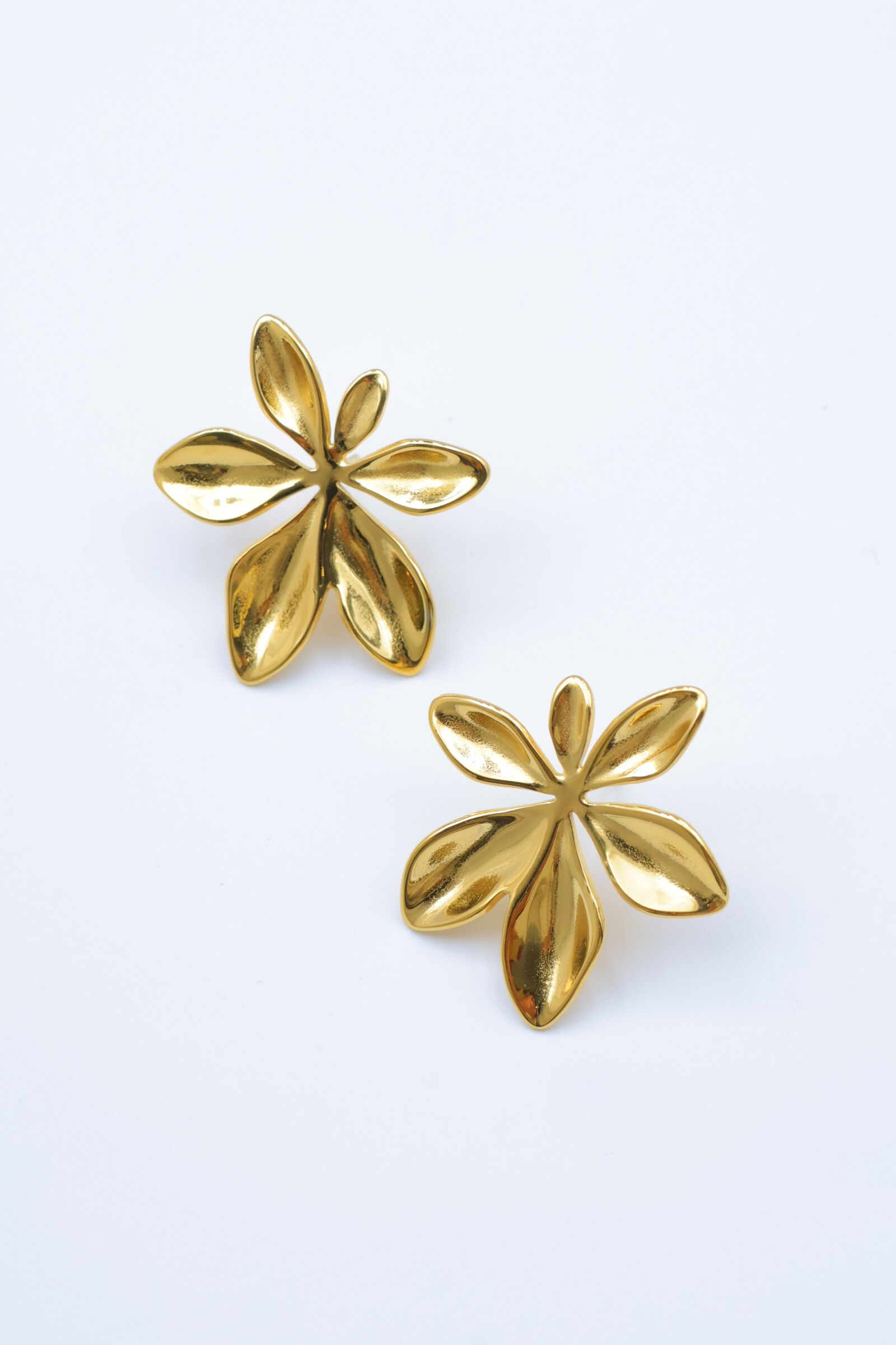 Orecchini in acciaio inossidabile - E715