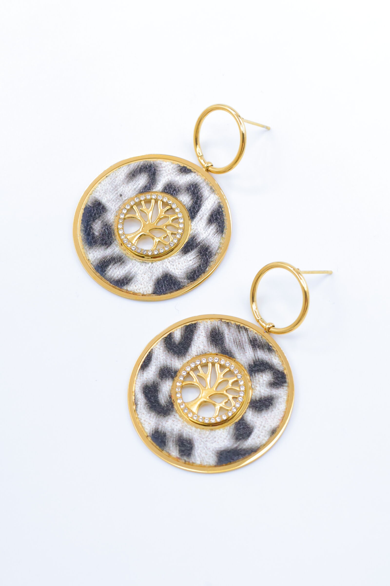 Orecchini in acciaio inossidabile - ZC3