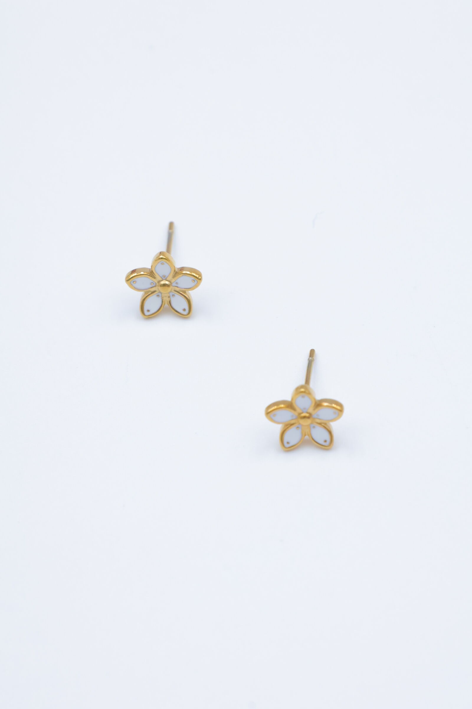 Edelstahl Ohrringe - V473B