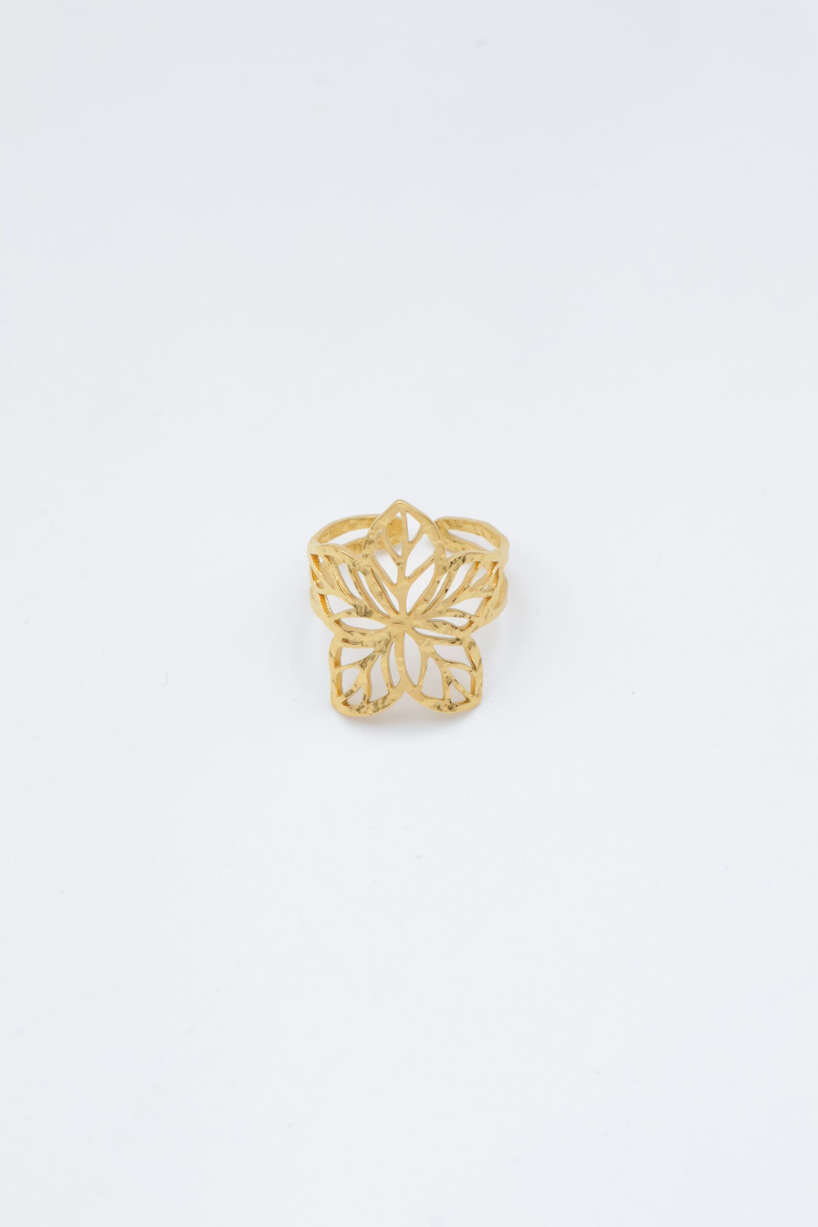 Verstellbarer Edelstahlring - ZC45