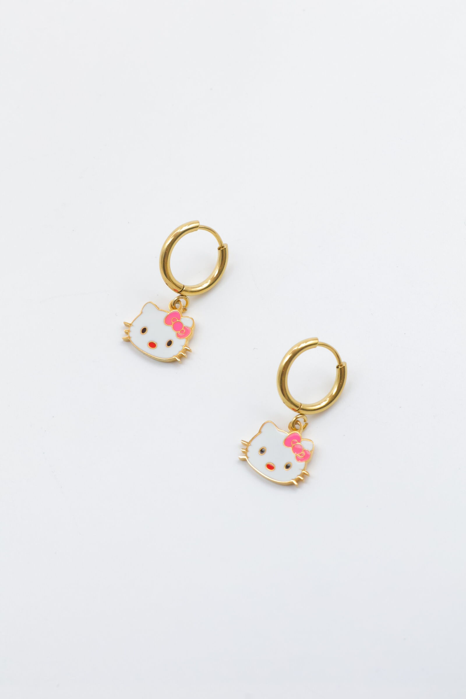 Ohrringe aus Edelstahl - BL266B