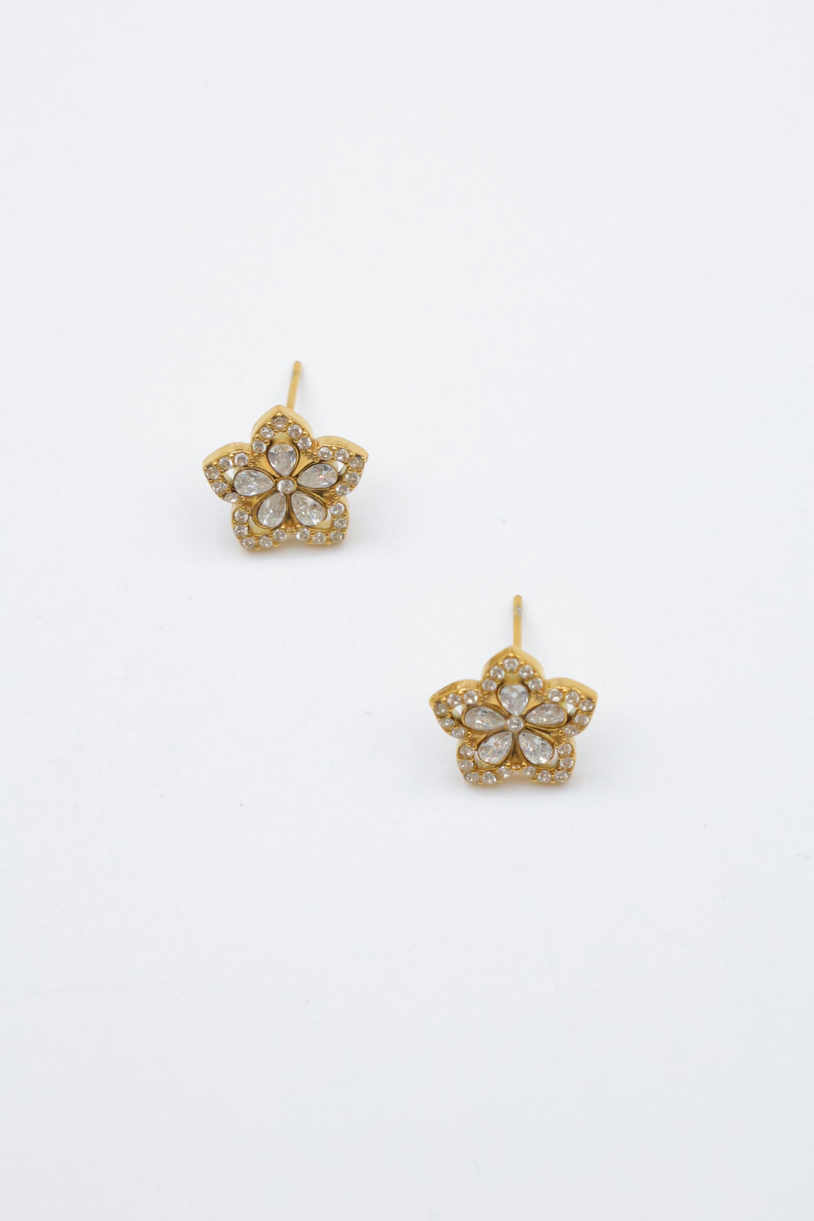 Ohrringe aus Edelstahl - ZC36B