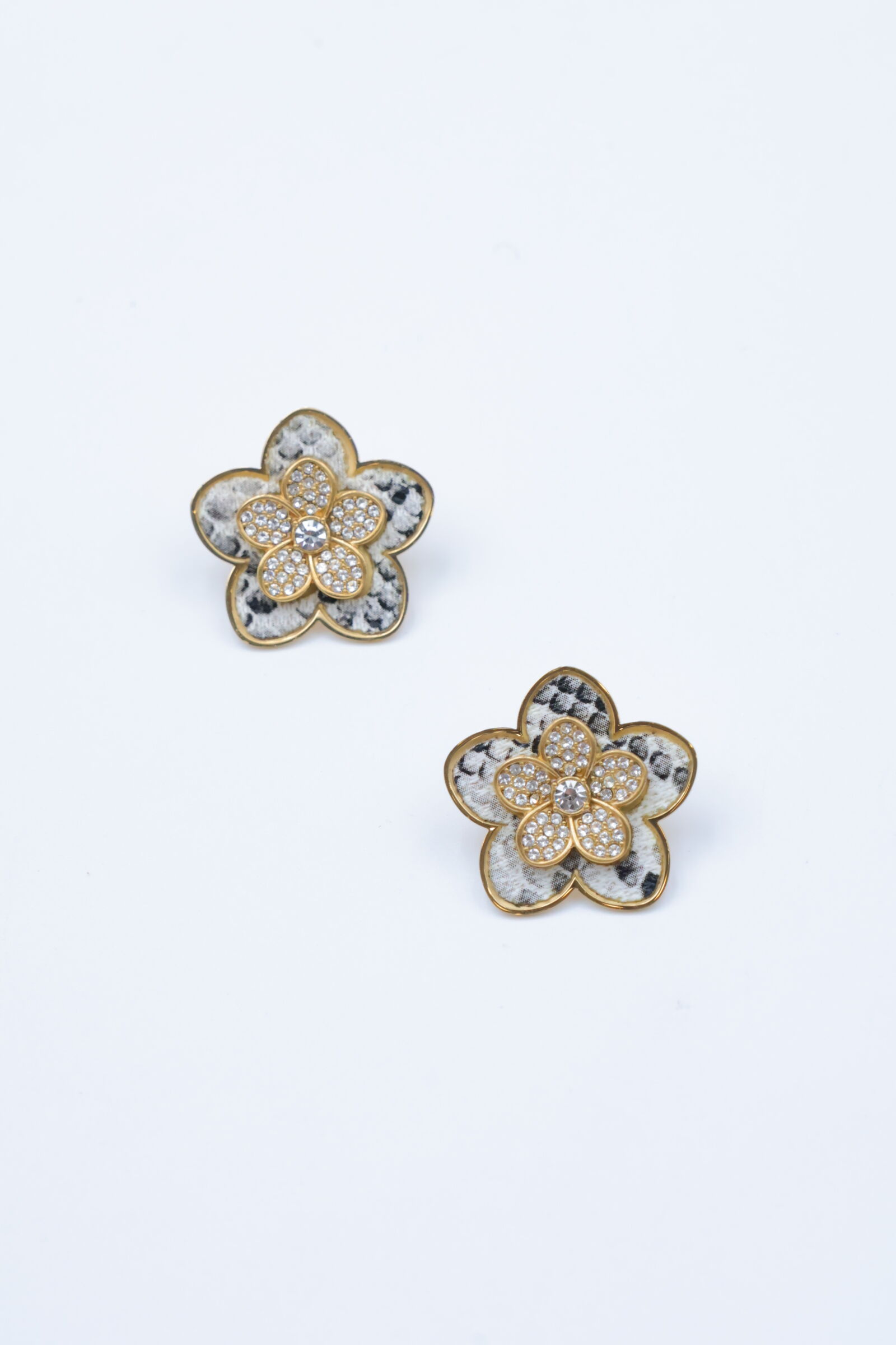 Ohrringe aus Edelstahl - ZC21B