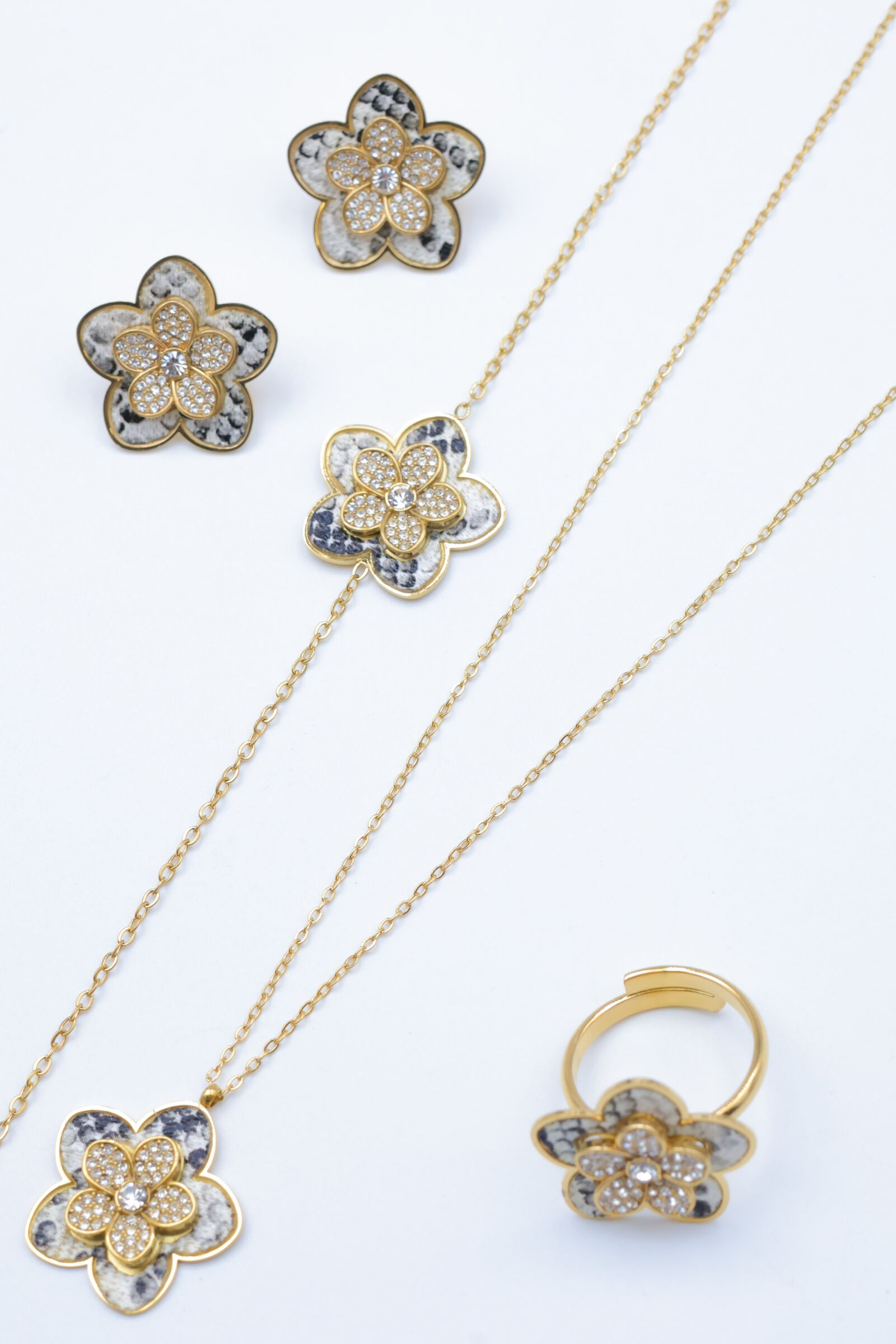 Set di gioielli in acciaio inossidabile - ZC21E